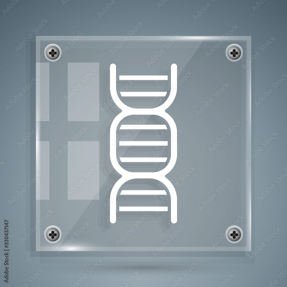 灰色背景上隔离的白色DNA符号图标。方形玻璃面板。矢量插图