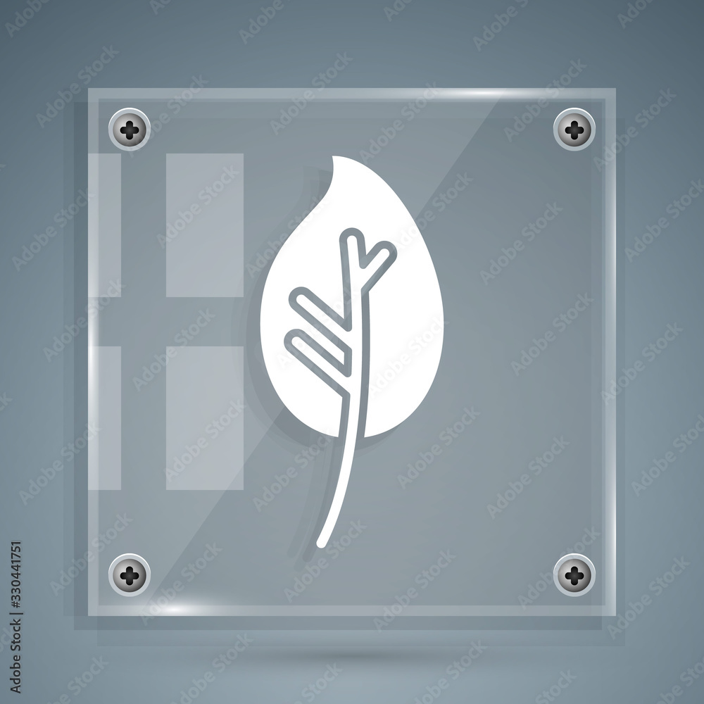 White Leaf icon isolated on grey background. Leaves sign. Fresh natural product symbol. Square glass