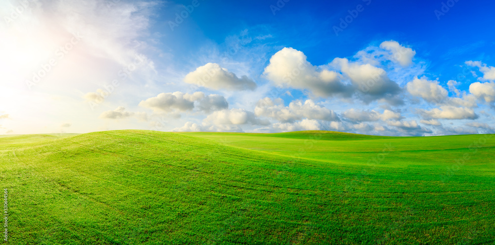 Green grass field and blue sky with white clouds,panoramic view.