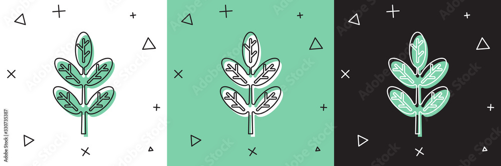 Set Leaf icon isolated on white and green, black background. Leaves sign. Fresh natural product symb