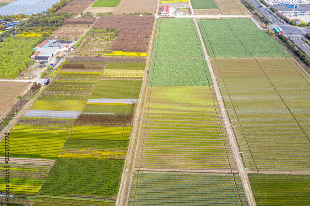 farmland with village