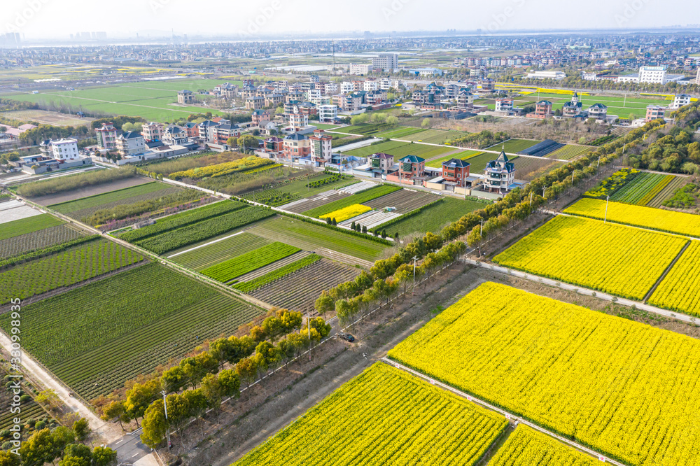 farmland with village