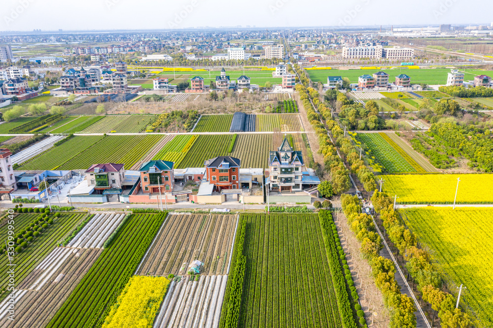 farmland with village