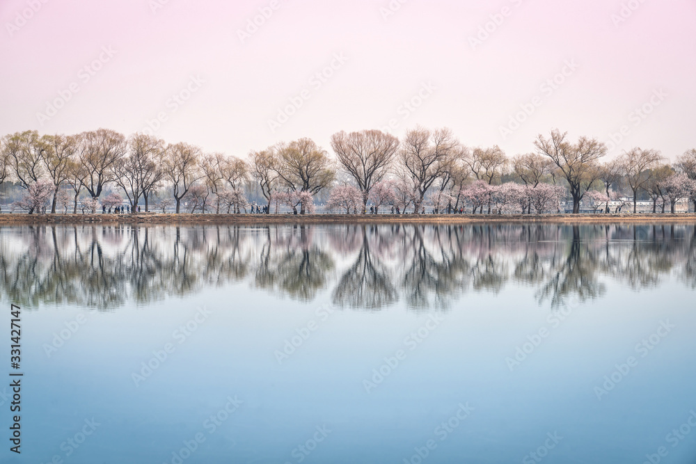 Spring of the West Bank of the Summer Palace in Beijing. Spring in Beijing Summer Palace