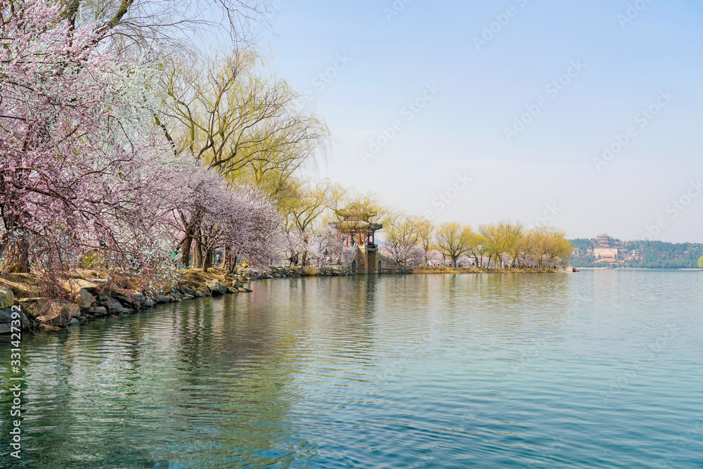 Spring of the West Bank of the Summer Palace in Beijing. Spring in Beijing Summer Palace