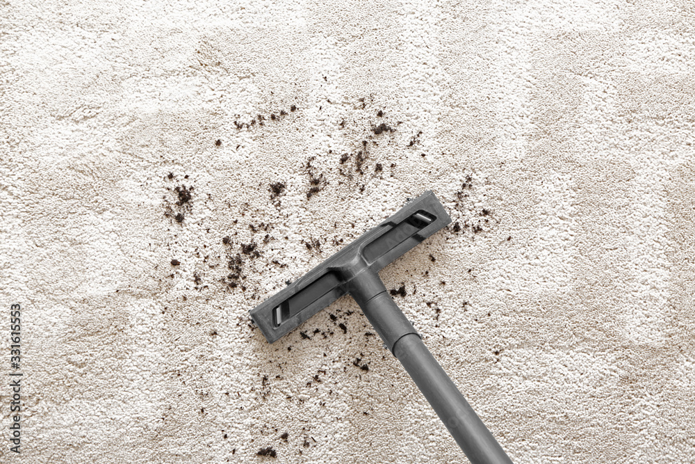 Hoovering of carpet with vacuum cleaner, top view