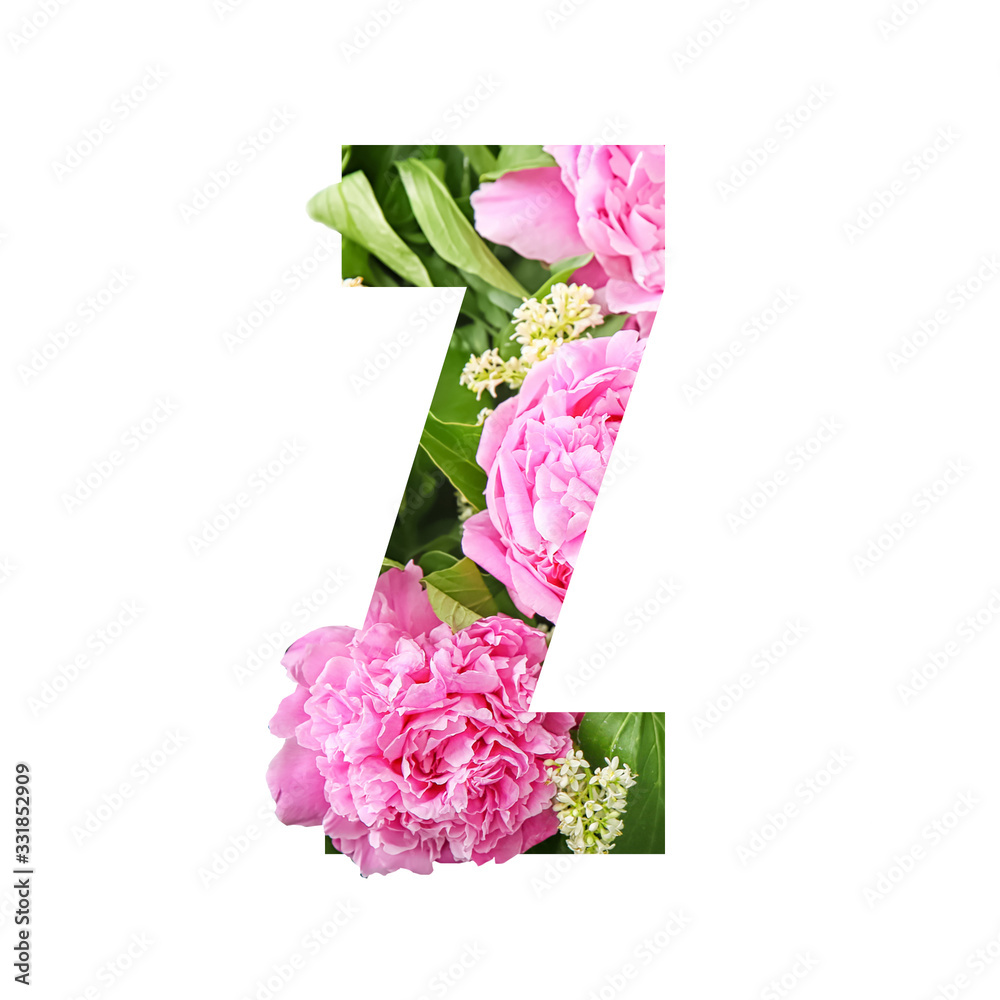 Letter Z made of beautiful flowers on white background