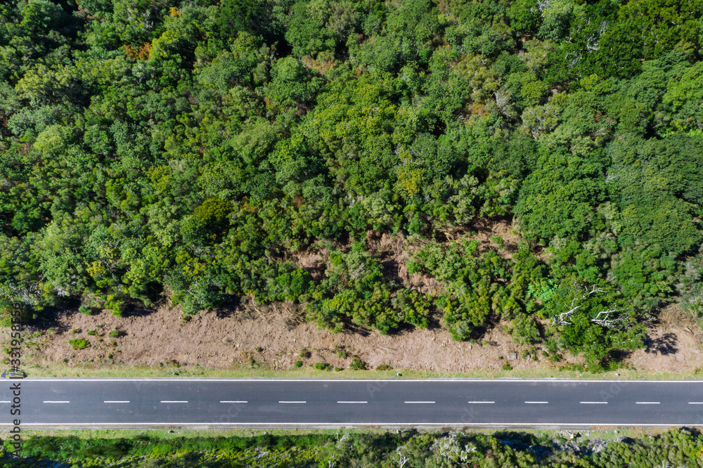 Top view aerial drone shot of a straight asphalt road leading in the green forest on Madera island, 