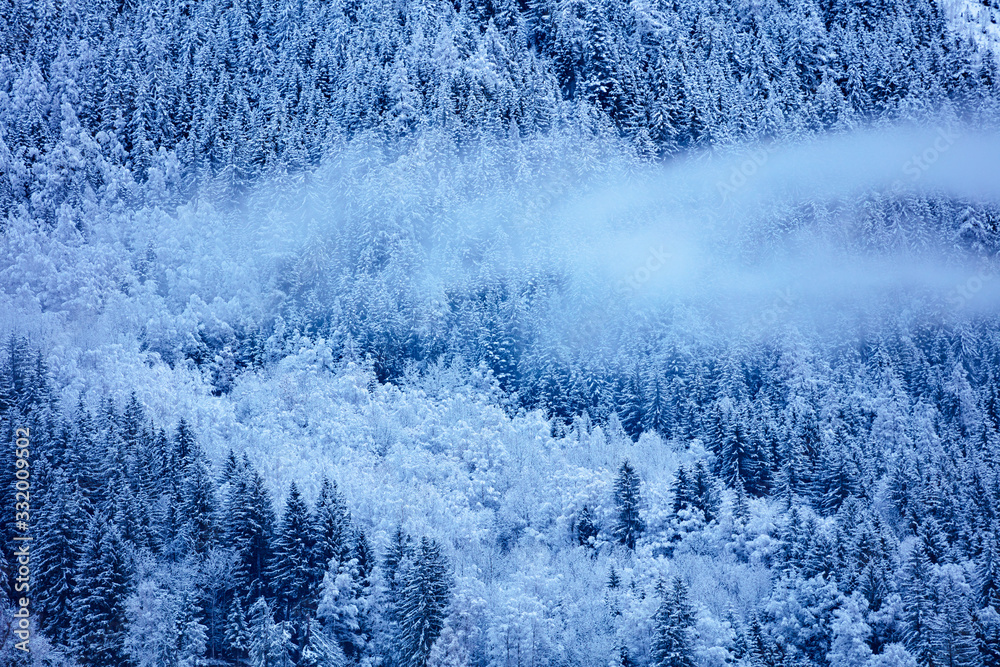 Fr背景为云形成图案的雪山上积雪覆盖的冷杉和松树的景色