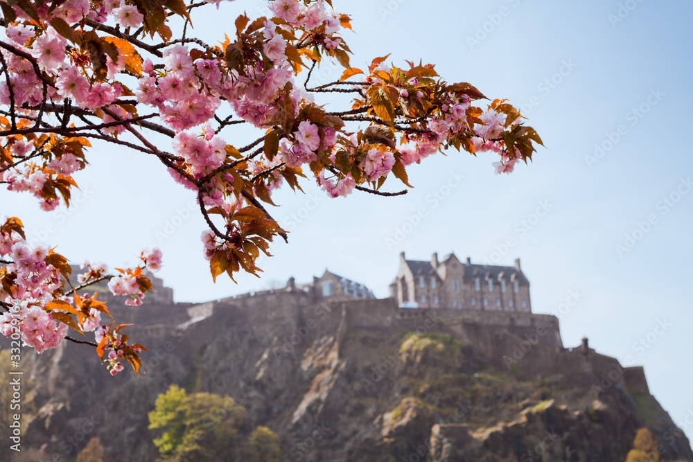 Cherry Blossom and Edinburgh Castle, spring is the best time to visit Romantic Scotland.