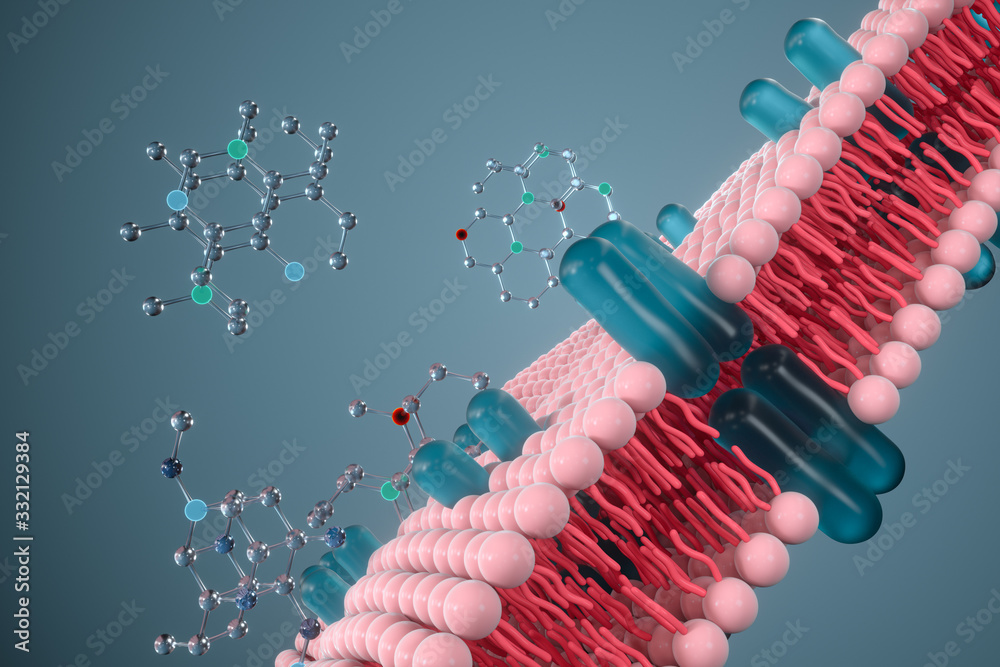 细胞膜与生物学，生物学概念，三维绘制。