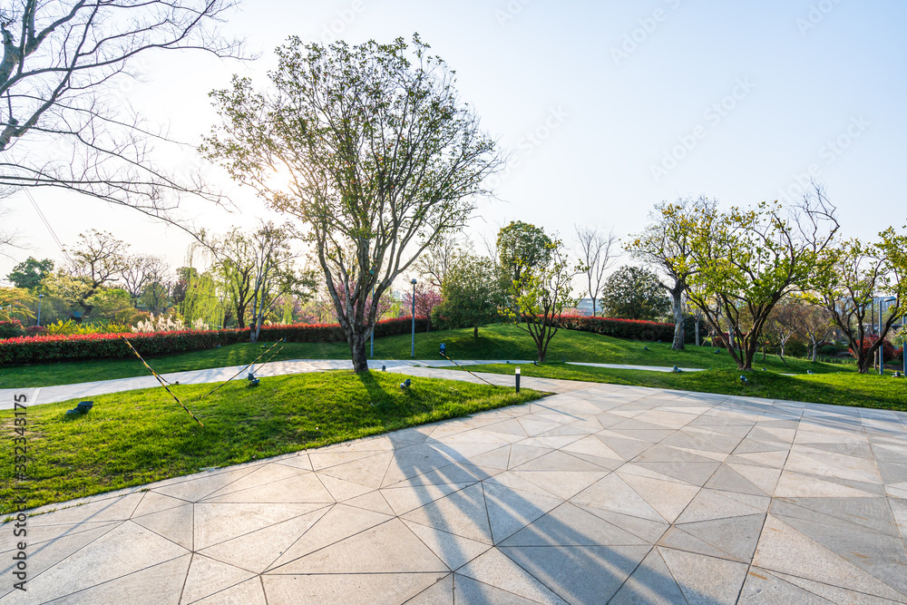 road in park