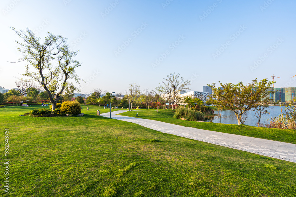 road in park