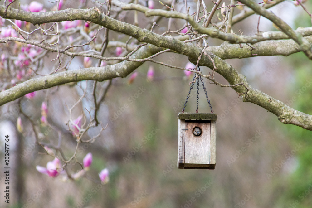 Bird in a birdhouse