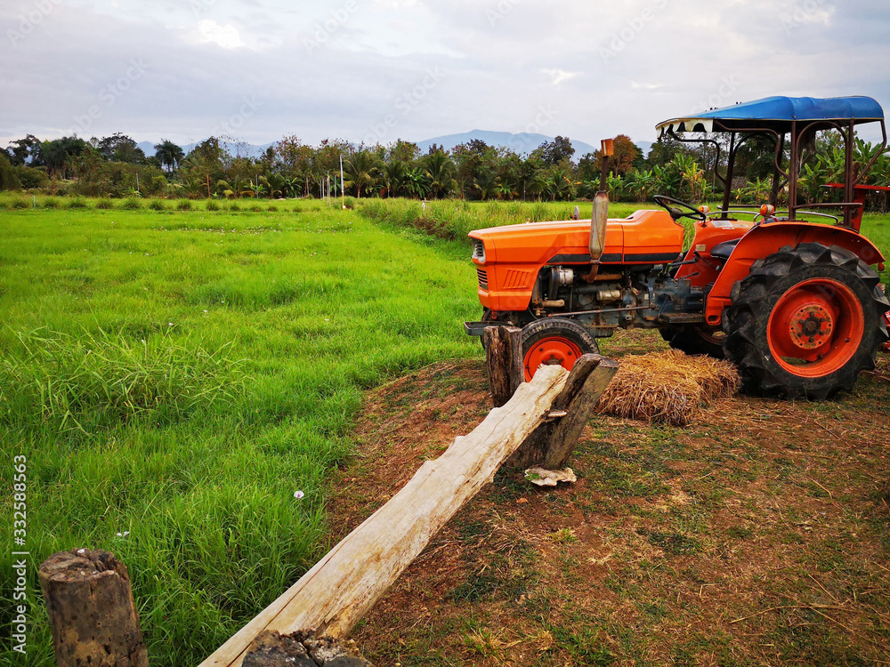 Orange tractor With green fields