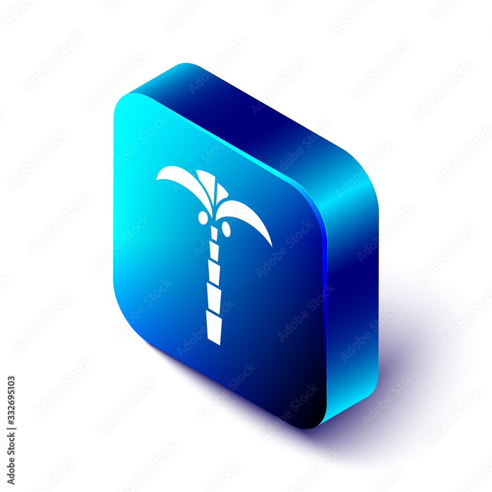 Isometric Tropical palm tree icon isolated on white background. Coconut palm tree. Blue square butto