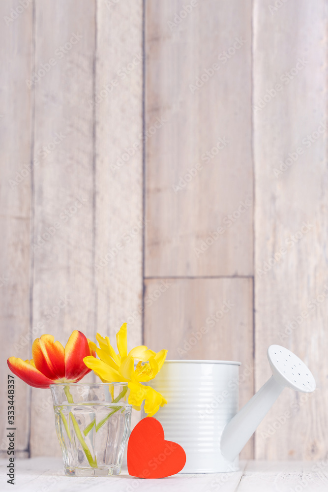 Tulip flower arrangement in glass vase with heart greeting, watering can decor on wooden table backg