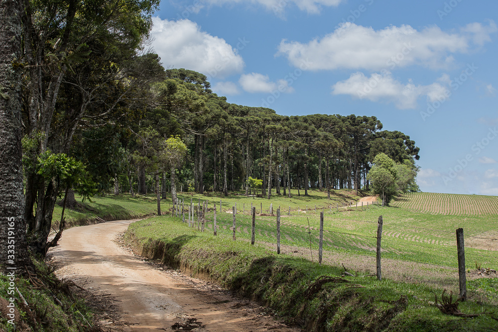 road in the countryside