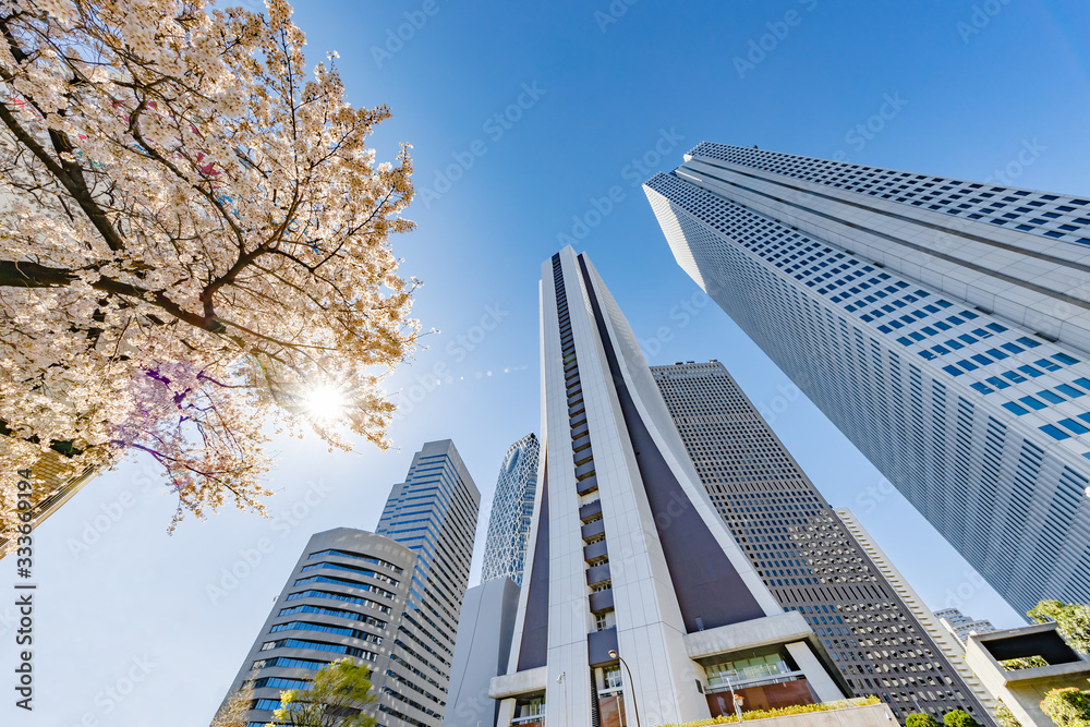 都会のビルと桜の木