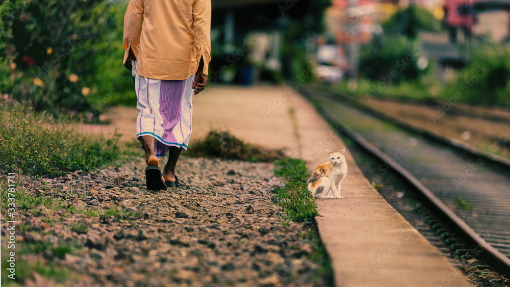 man and a cat