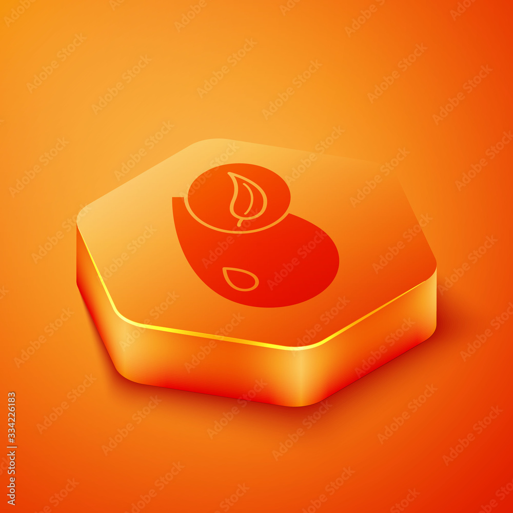 Isometric Bio fuel icon isolated on orange background. Eco bio. Green environment and recycle. Orang