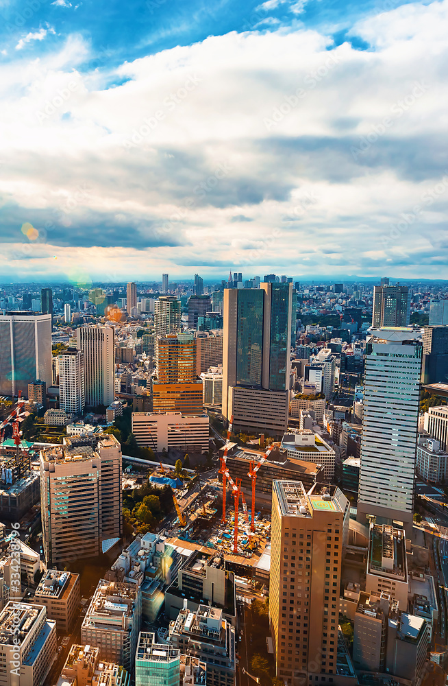 Aerial view of the Tokyo skyline in the morning