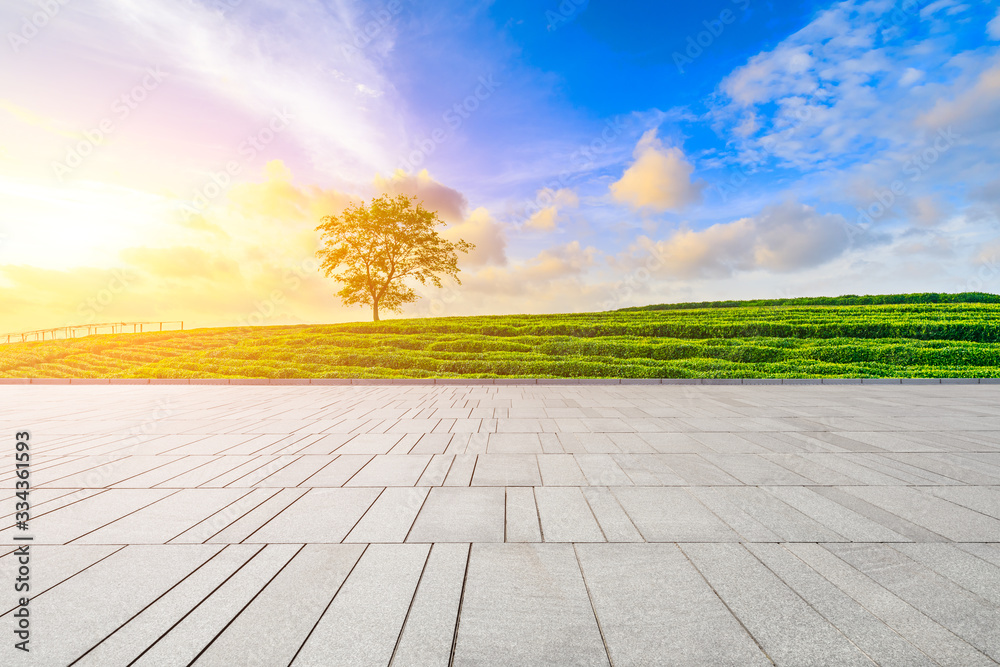 Empty square floor and green tea plantation nature landscape at sunset.