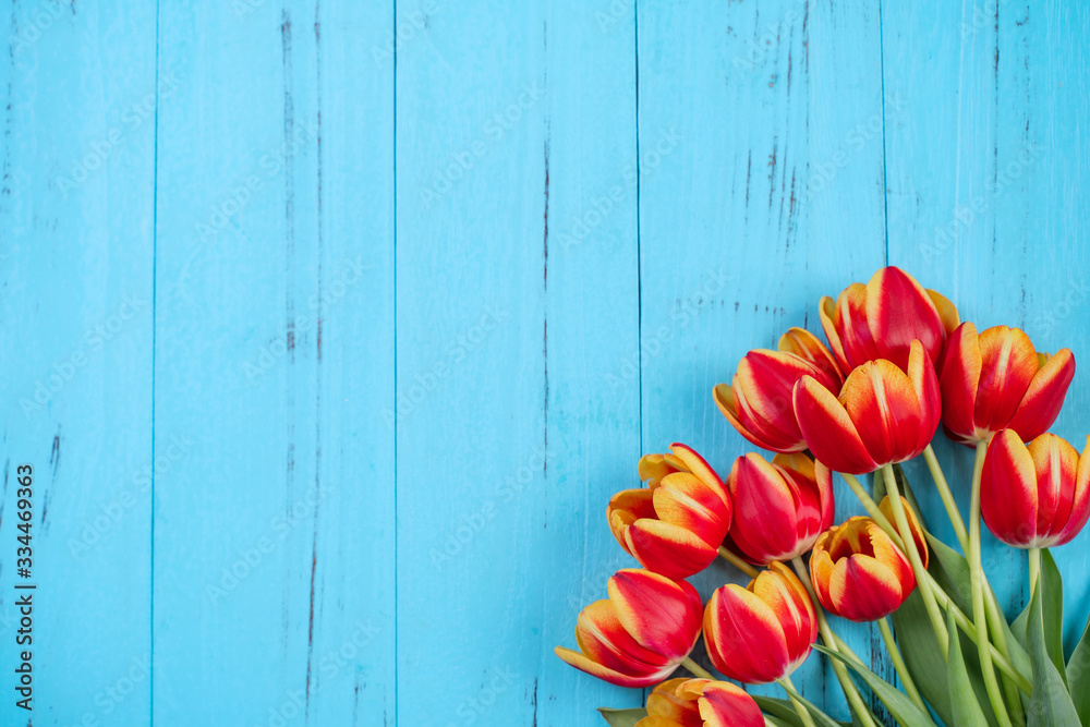 Tulip flower bunch, Mothers Day Design Concept - Beautiful Red, yellow bouquet isolated on blue woo