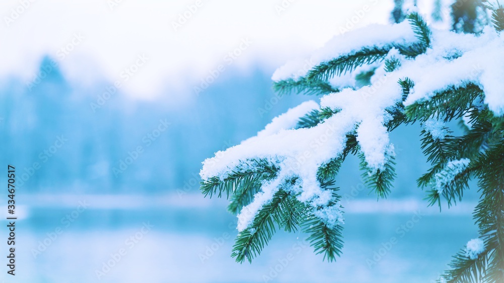 Closeup of snow-covered tree branch beside the lake with blurred background