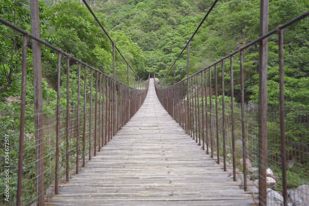 Rope bridge in the green forest in mountain