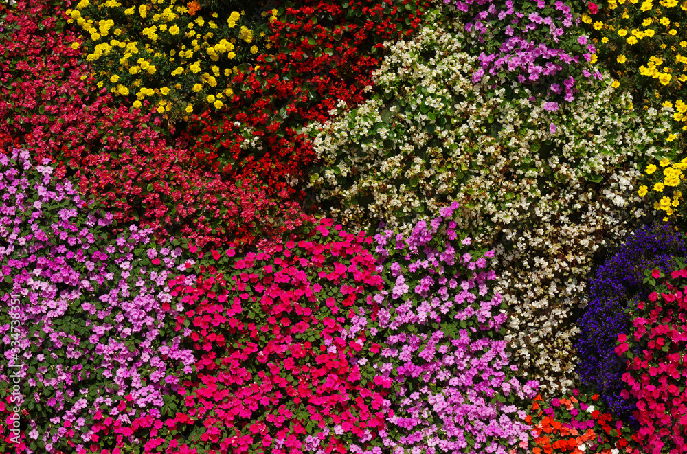 Flowers texture background