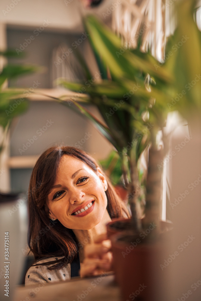 Head shot portrait of a florist adding indoor plants on the shelves.