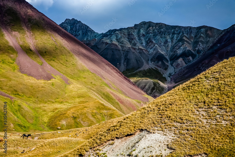 Scenic landscape of mountain in Kyrgyzstan. The Trans-Alay Range. Pamir Mountain System. Grazing hor