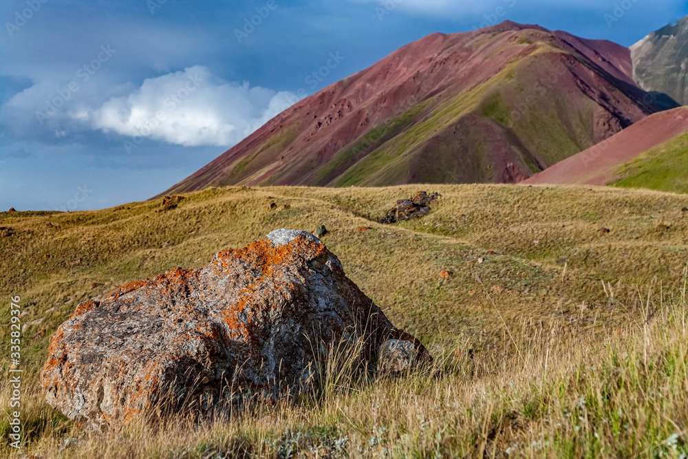 Close-up of stone with orange moss and lichen. Scenic landscape of Kyrgyz mountains at summer.