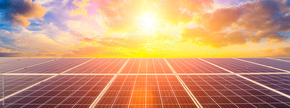 Photovoltaic solar panels on sunset sky background,green clean energy concept.