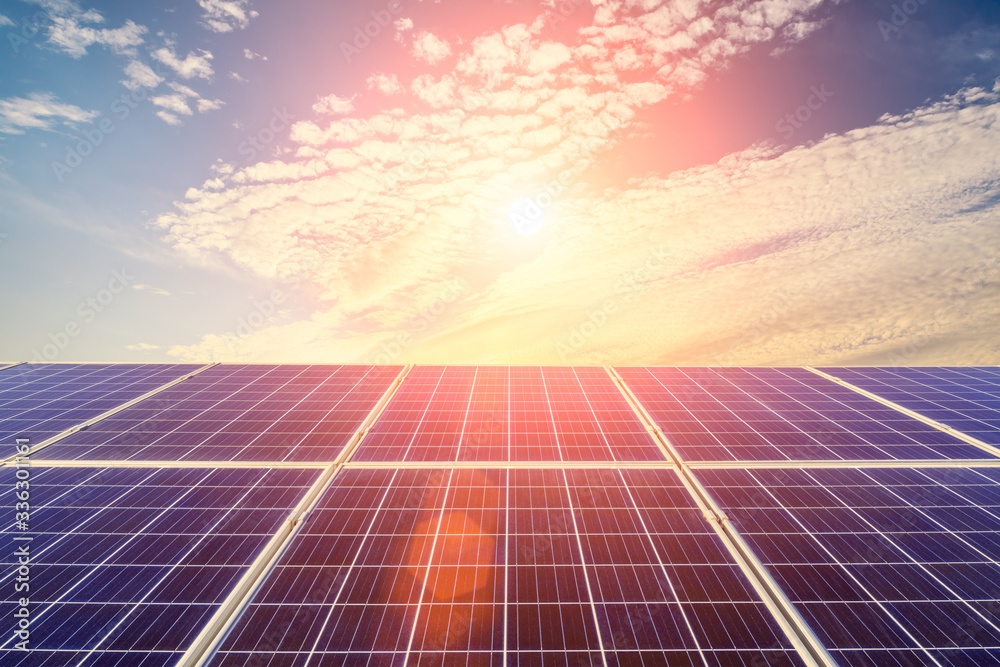 Photovoltaic solar panels on sunset sky background,green clean energy concept.