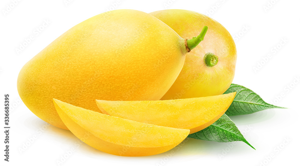 Isolated yellow mangoes. Two mango fruits and slices isolated on white background with clipping path