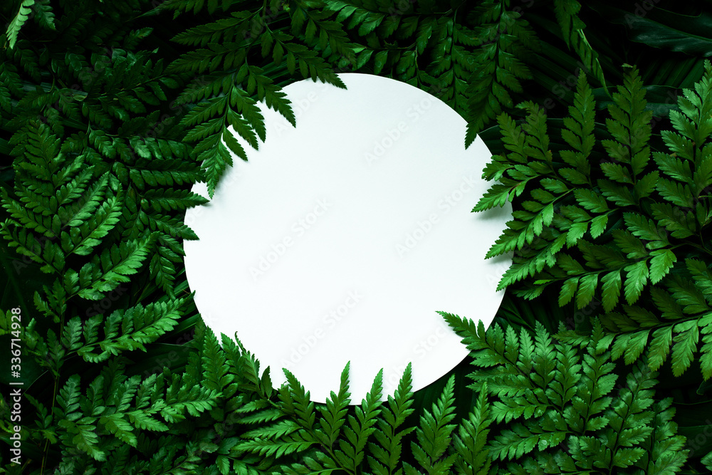 tropical green leaves and palms  background with white paper card note, nature flat lay concept