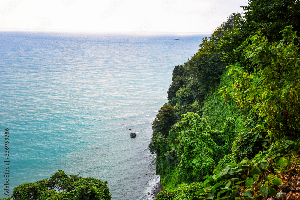 Beautiful tropical garden with fresh green plants overlooking the ocean. Tropical botanic garden.