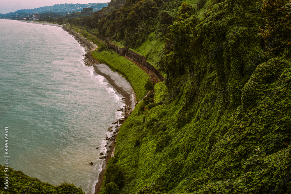 巴统海岸。从植物园俯瞰风景。山脚下，被绿色森林覆盖。