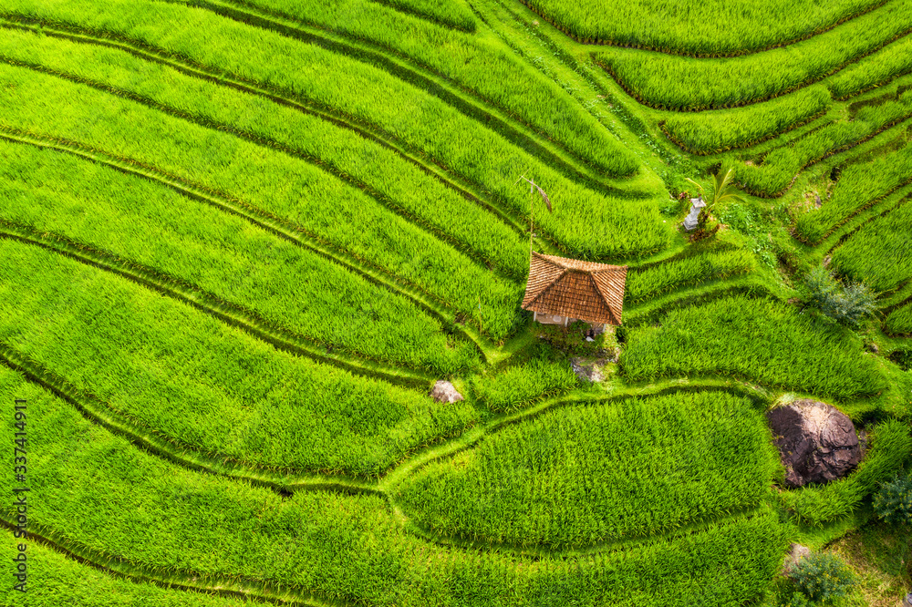 Aerial view of rice terraces. Landscape from drone. Agricultural landscape from the air. Rice terrac