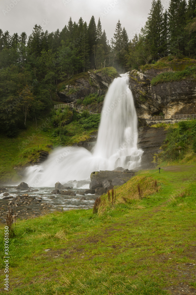 waterfall in the forest