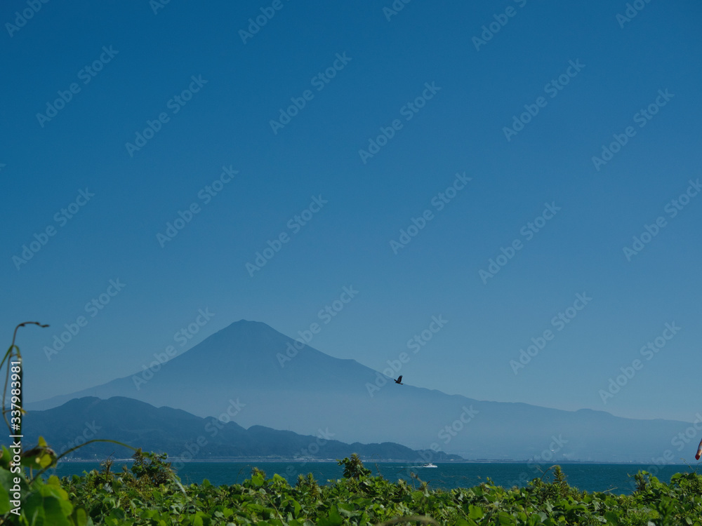 三保より望む富士山