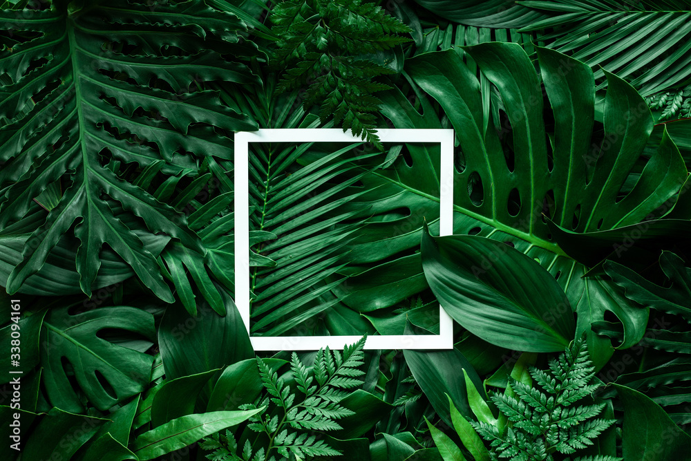 tropical green leaves and palms with white paper note frame, nature flat lay concept