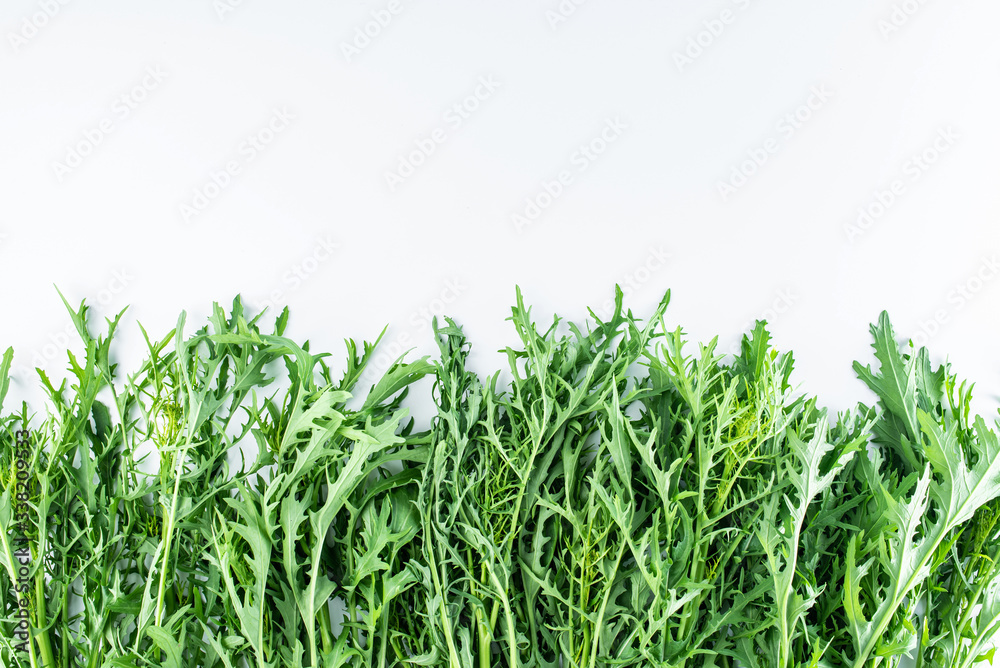 Fresh green vegetables red on white background