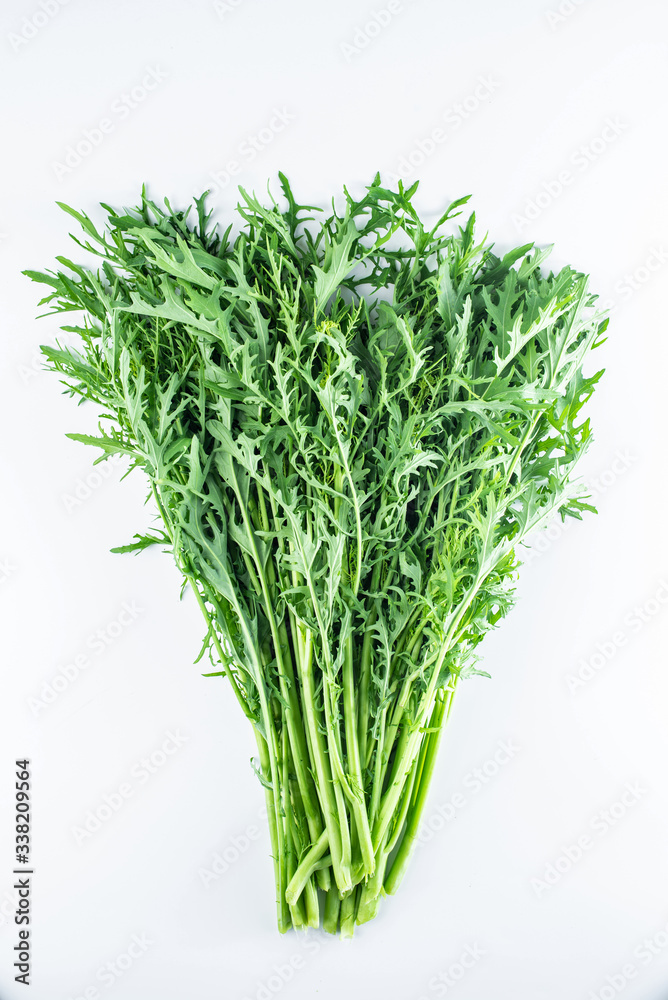 Fresh green vegetables red on white background