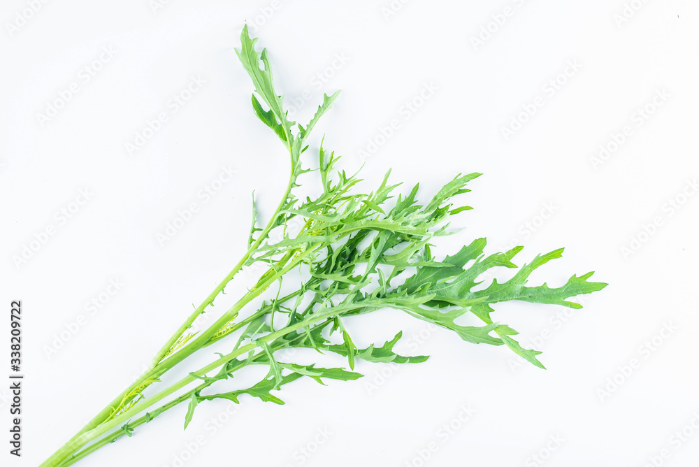 Fresh green vegetables red on white background