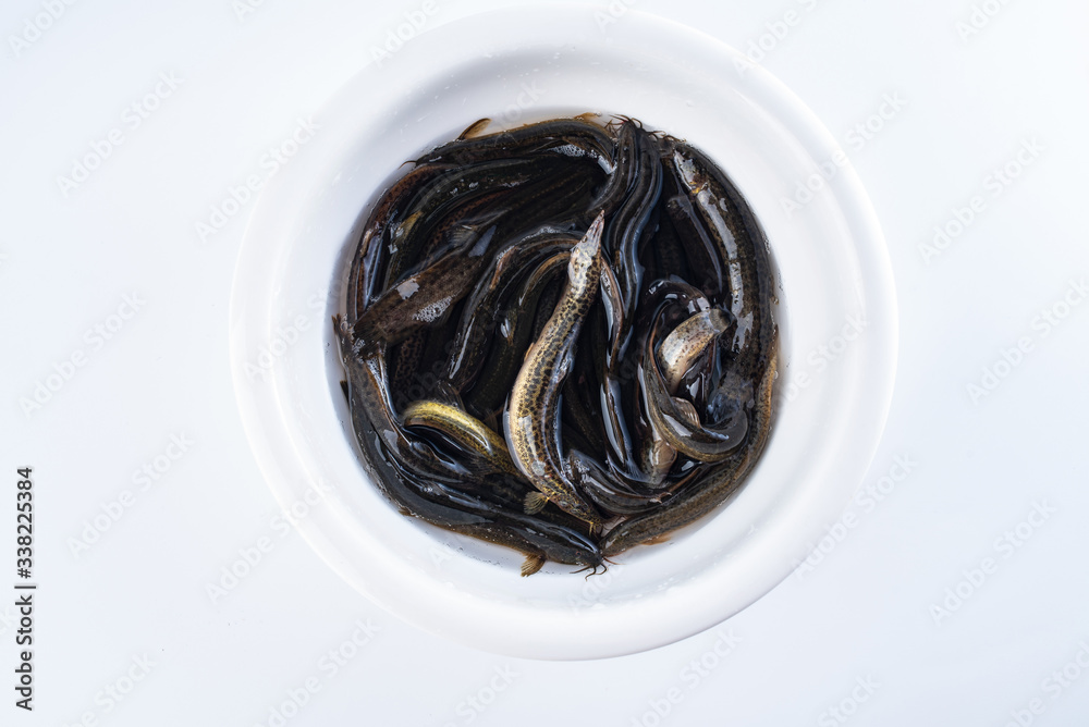 Fresh loach in a pot on white background