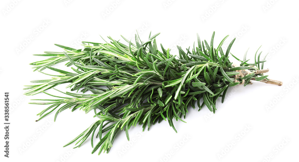 Fresh rosemary on white background