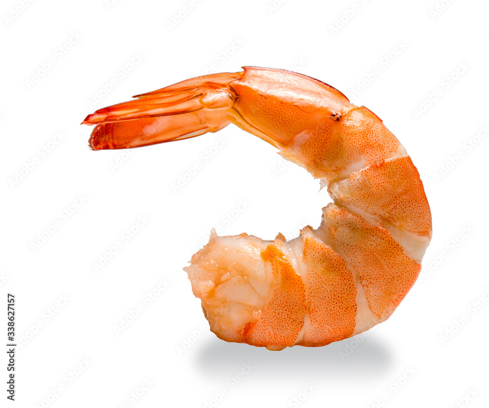 Shrimp on a white background, Cooked white Shrimp isolated on white background.